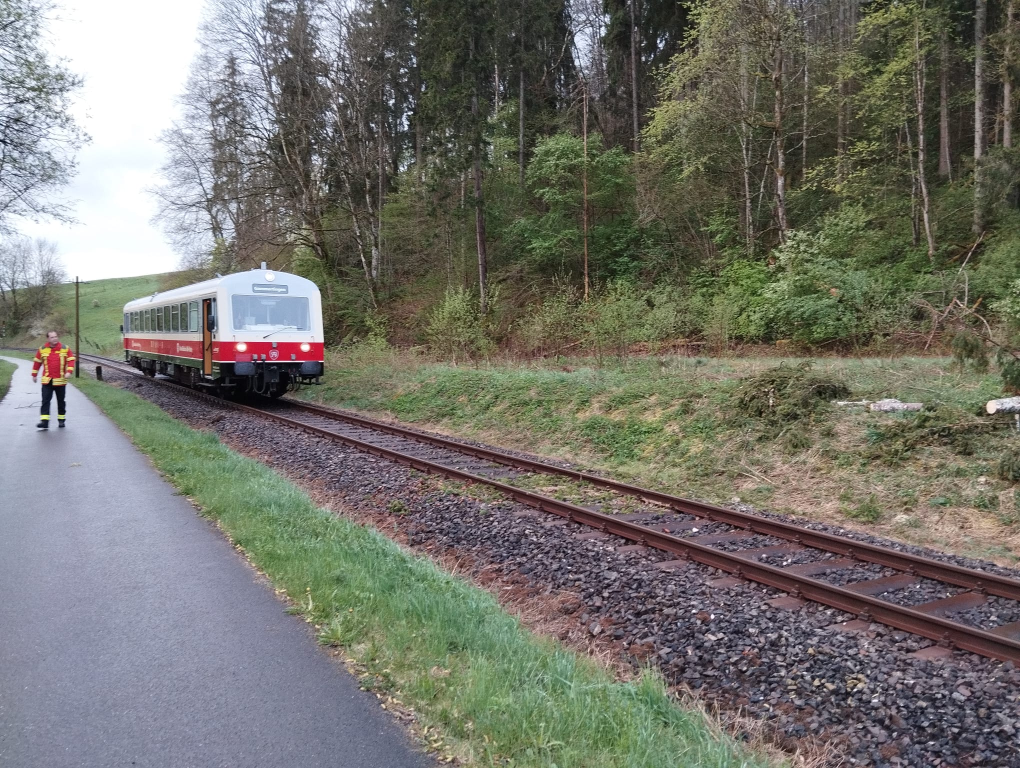 You are currently viewing H1 | Baum auf Bahnschiene