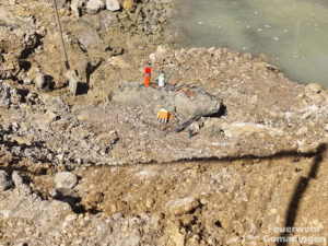 Mehr über den Artikel erfahren H1 | Bombenfund